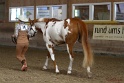 22-APHA HOTC_009